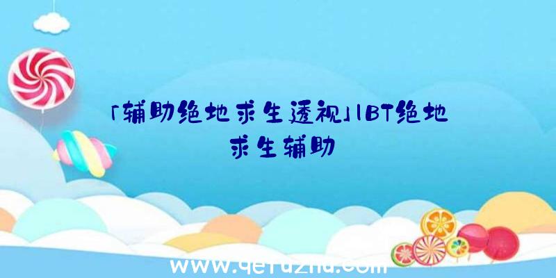 「辅助绝地求生透视」|BT绝地求生辅助